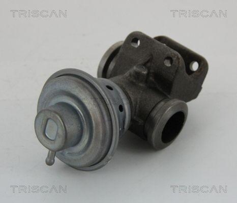 TRISCAN 8813 28013 Agr Ventil für Psa