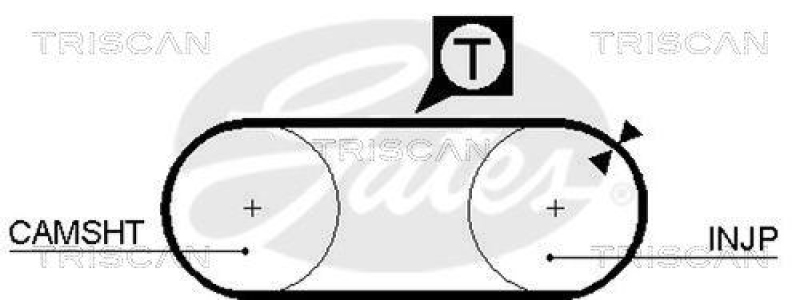 TRISCAN 8647 29062 Zahnriemensatz für Vw