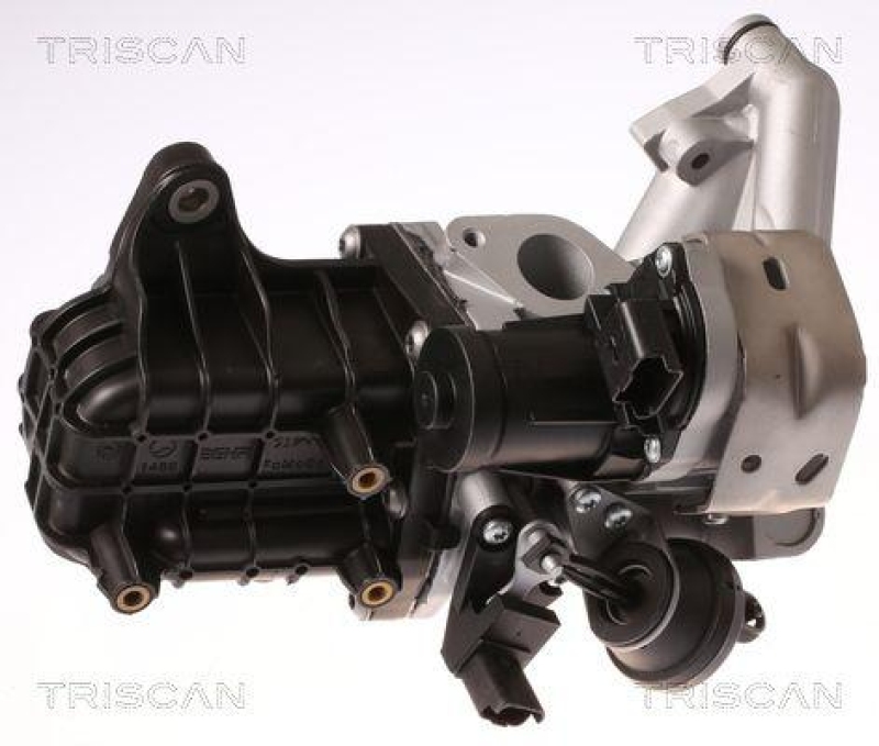 TRISCAN 8813 28046 Agr Ventil für Citroen, Peugeot