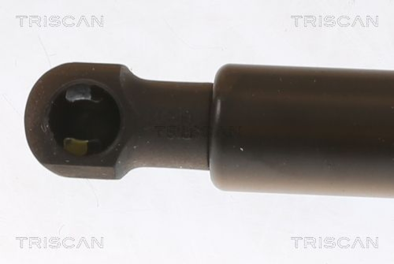 TRISCAN 8710 29157 Gasfeder Vorne für Caddy 5/15-