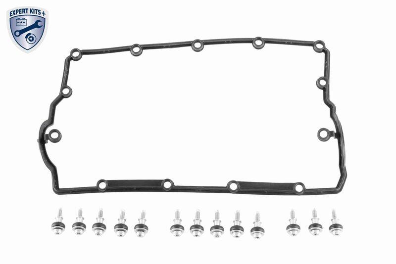 VAICO V10-6512 Zylinderkopfhaube Motor: 1.9, 2.0 TDI für VW