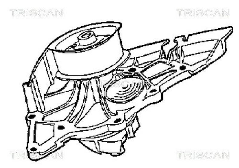 TRISCAN 8600 29004 Wasserpumpe für Audi A4, A6 6 Cyl.