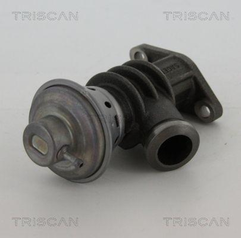 TRISCAN 8813 28100 Agr Ventil für Psa