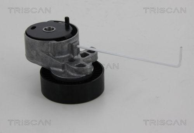 TRISCAN 8641 103037 Spannrolle für Land Rover, Volvo