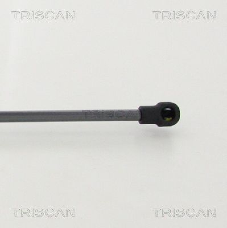 TRISCAN 8710 292038 Gasfeder Hinten für Audi Tt