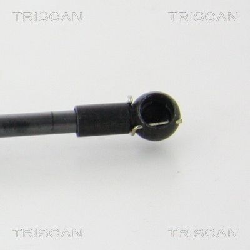 TRISCAN 8710 292039 Gasfeder Hinten für Audi A3