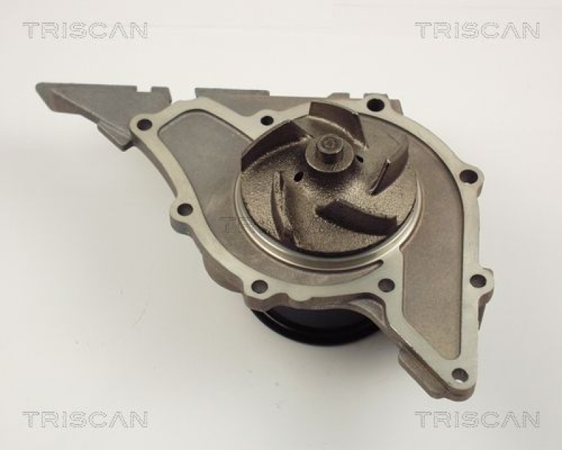 TRISCAN 8600 29029 Wasserpumpe für Audi