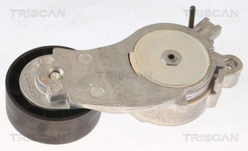 TRISCAN 8641 103053 Spannrolle für Psa, Mini, Bmw