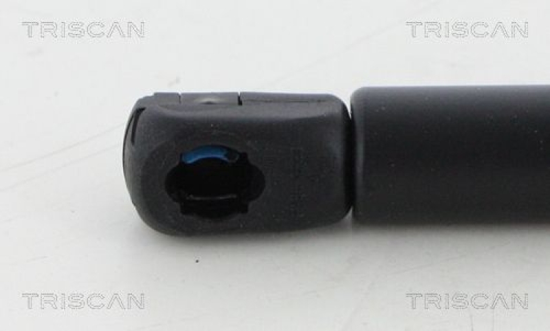 TRISCAN 8710 292043 Gasfeder Hinten für Vw Beetle Cab