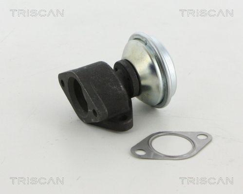 TRISCAN 8813 29067 Agr Ventil für Audi A6