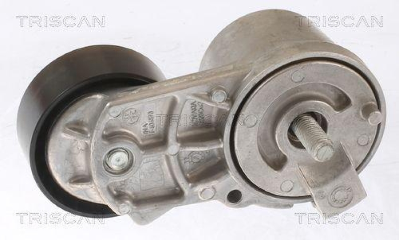 TRISCAN 8641 103058 Spannrolle für Bmw