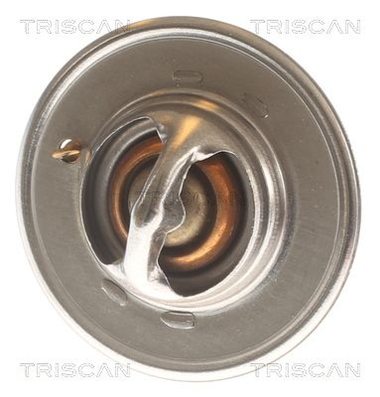 TRISCAN 8620 2091 Thermostat für Alfa Romeo, Fiat (1)