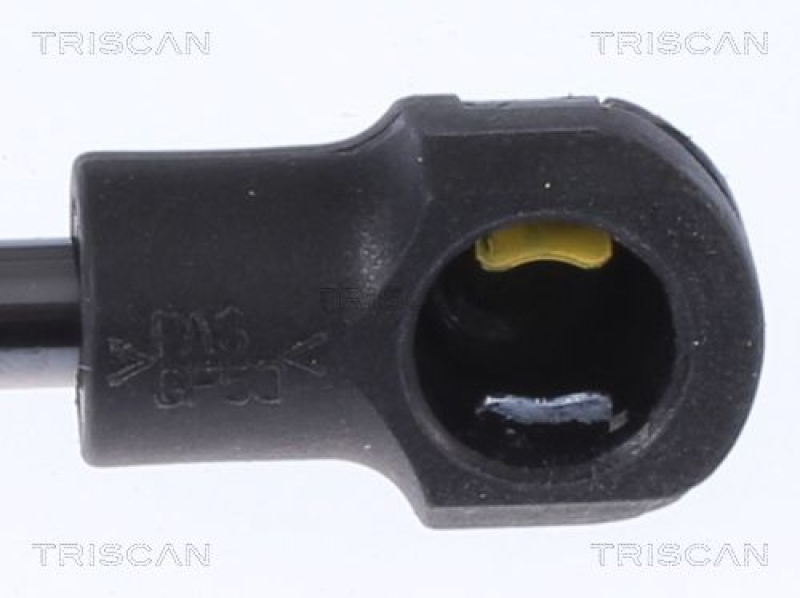 TRISCAN 8710 292055 Gasfeder Hinten für Audi A6