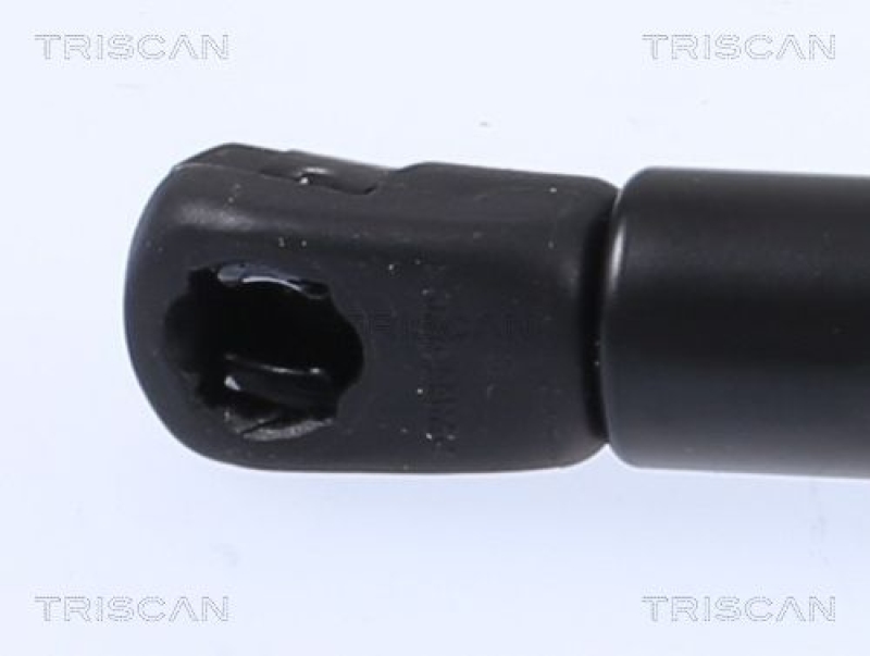 TRISCAN 8710 292056 Gasfeder Hinten für Audi A4