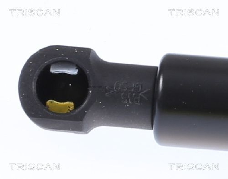 TRISCAN 8710 292058 Gasfeder Hinten für Audi A5 Cabrio