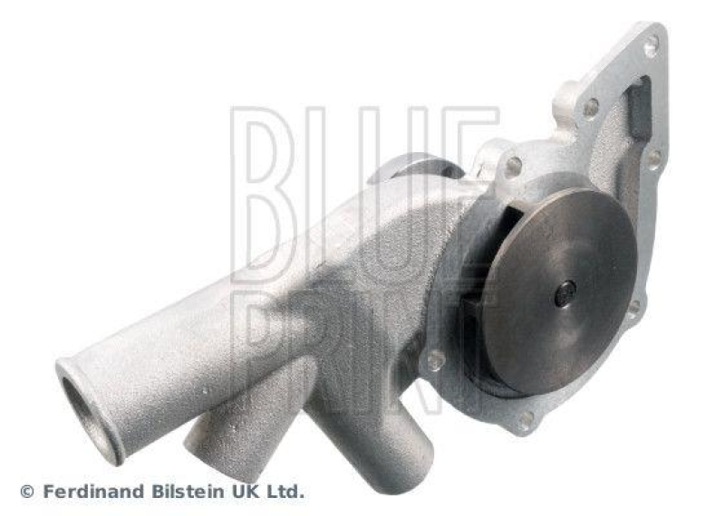 BLUE PRINT ADJ139110 Wasserpumpe mit Dichtung für ROVER