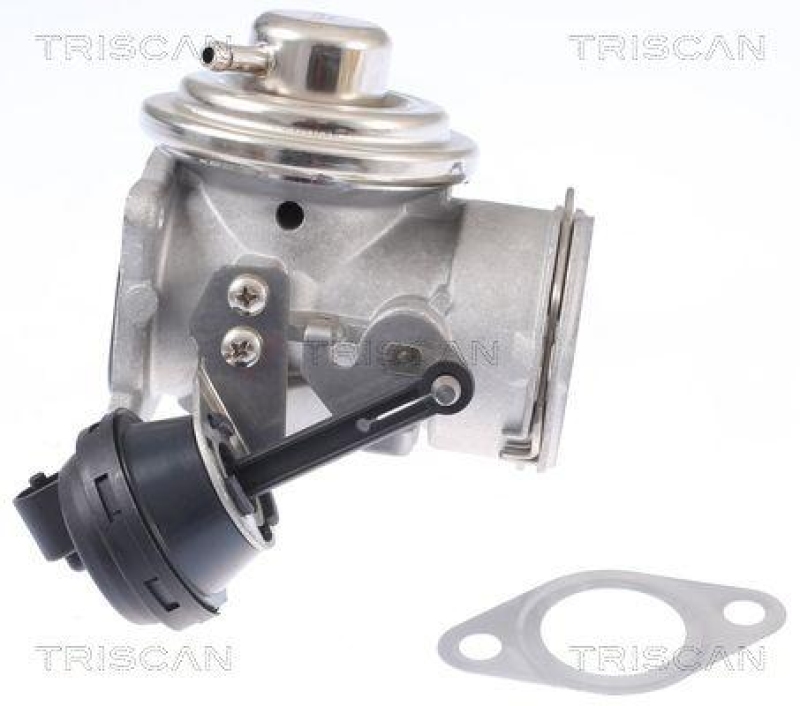 TRISCAN 8813 29308 Agr Ventil für Vw Beetle