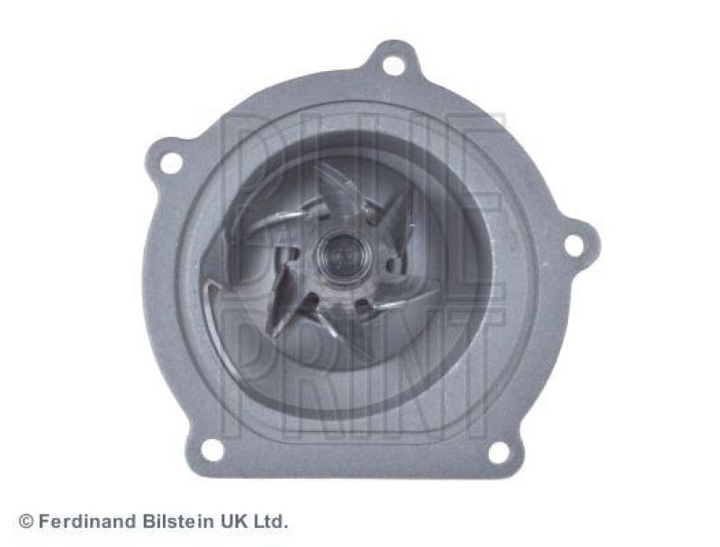 BLUE PRINT ADJ139120 Wasserpumpe mit Dichtringen für ROVER