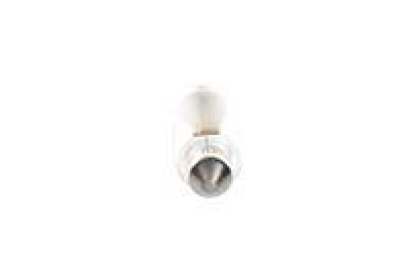 BOSCH 1 987 302 229 Glühlampe Pure Light