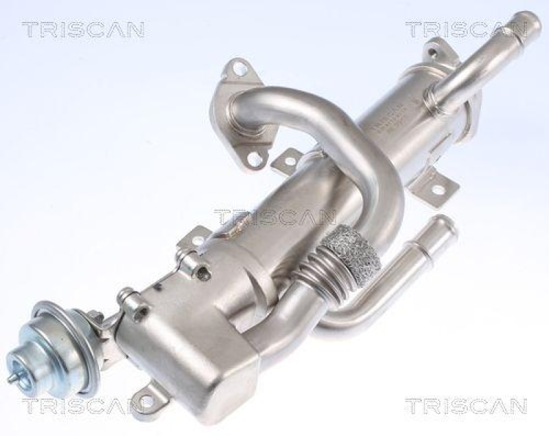 TRISCAN 8813 29333 Kühler, Abgasrückführung für Audi A4, A6