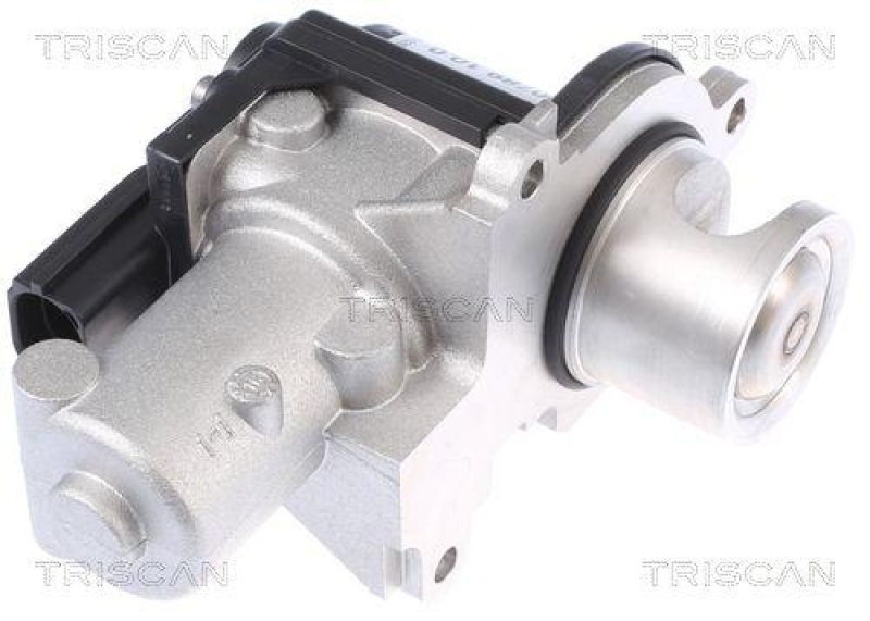 TRISCAN 8813 29338 Agr Ventil für Audi, Vw