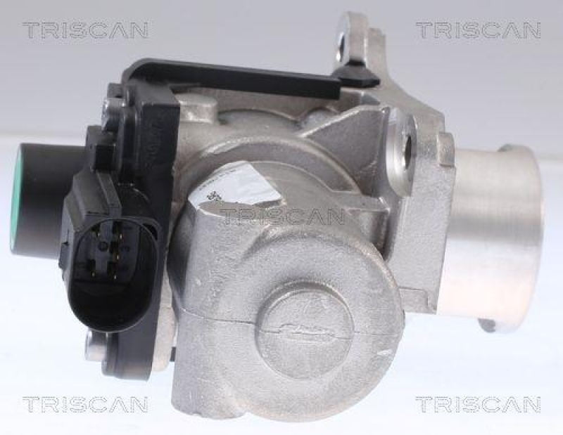 TRISCAN 8813 29339 Agr Ventil für Vw