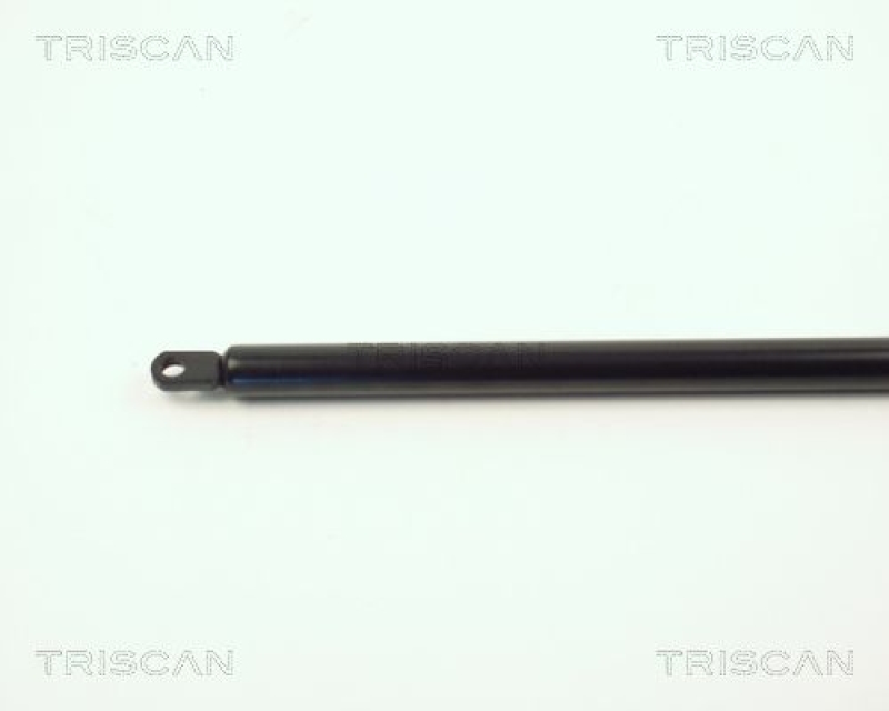 TRISCAN 8710 3801 Gasfeder Hinten für Citroén Visa