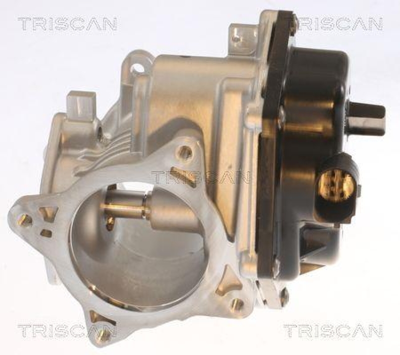 TRISCAN 8813 29348 Agr Ventil für Vw