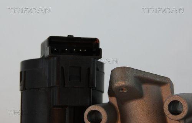 TRISCAN 8813 10001 Agr Ventil für Ford/Volvo/Mazda