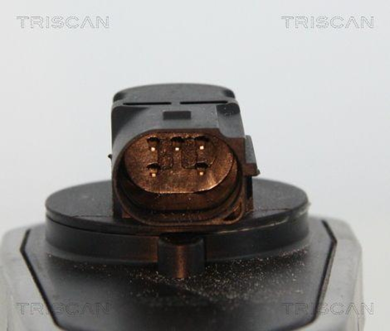 TRISCAN 8813 10002 Agr Ventil für Psa/Fiat/Gm