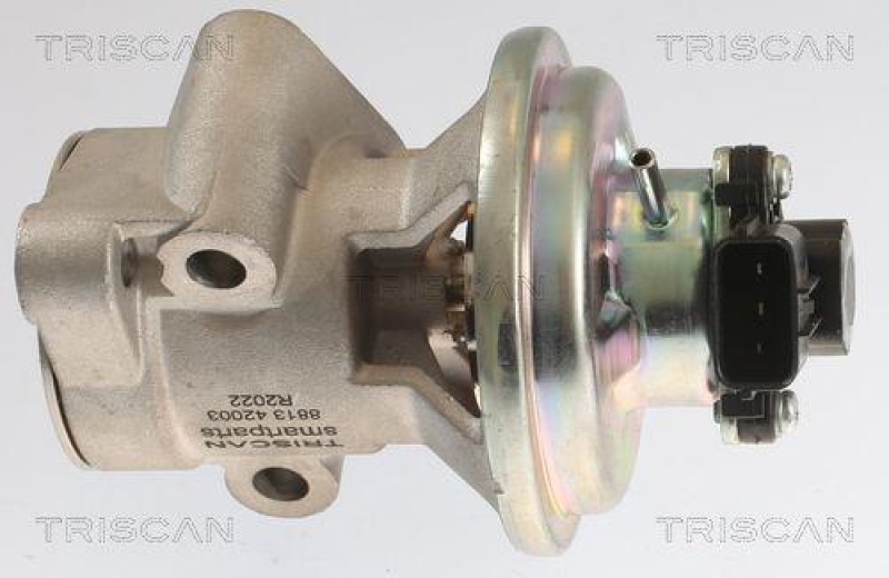 TRISCAN 8813 42003 Agr Ventil für Mitsubishi