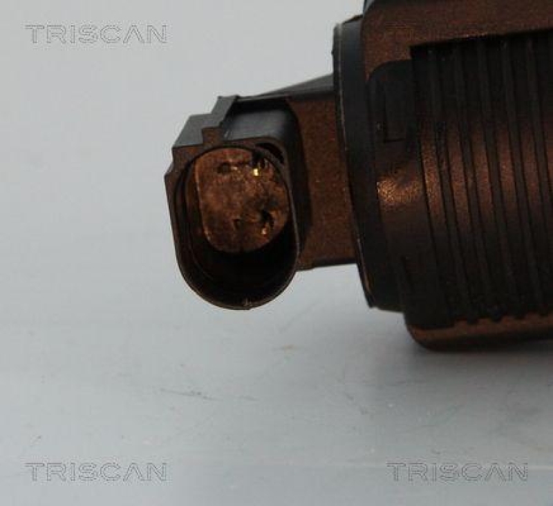 TRISCAN 8813 10005 Agr Ventil für Psa/Fiat/Gm