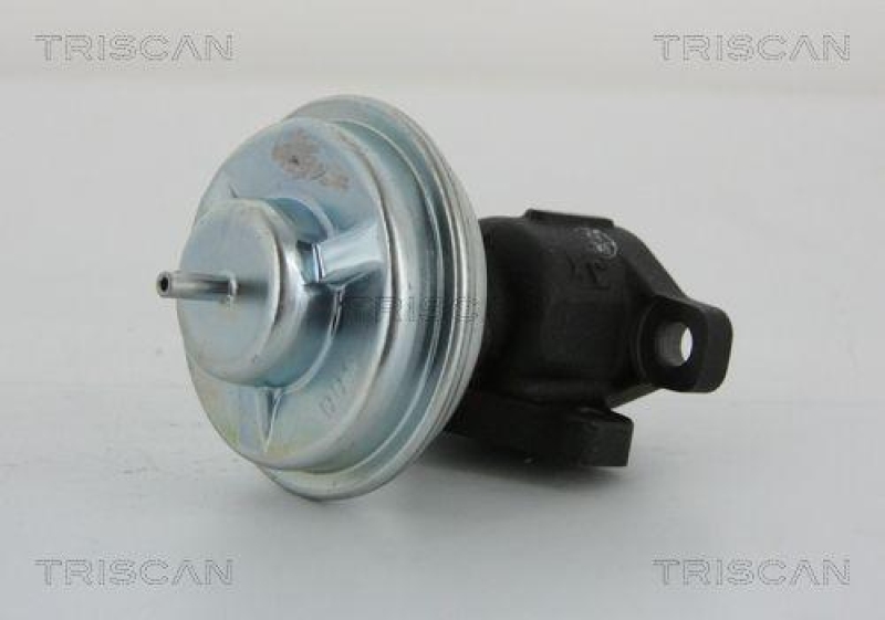 TRISCAN 8813 43005 Agr Ventil für Hyundai/Kia