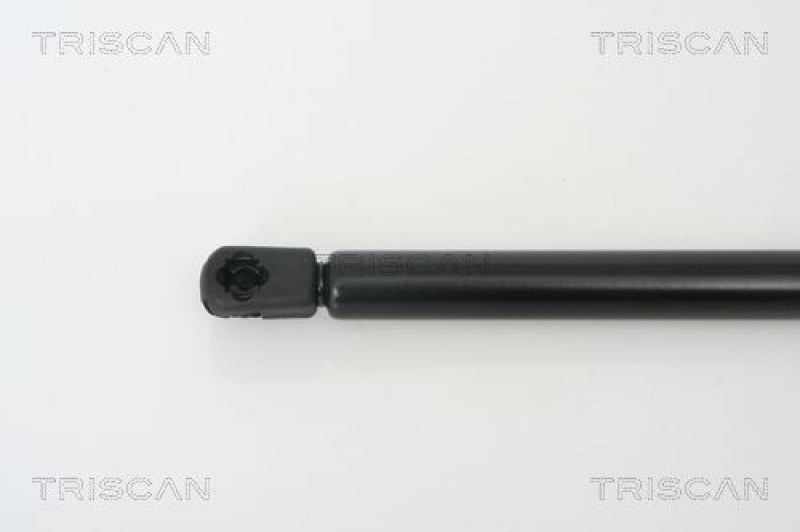 TRISCAN 8710 38218 Gasfeder Hinten für Citroen C2