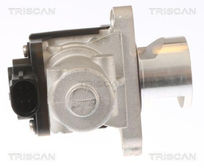 TRISCAN 8813 43010 Agr Ventil für Hyundai/Kia