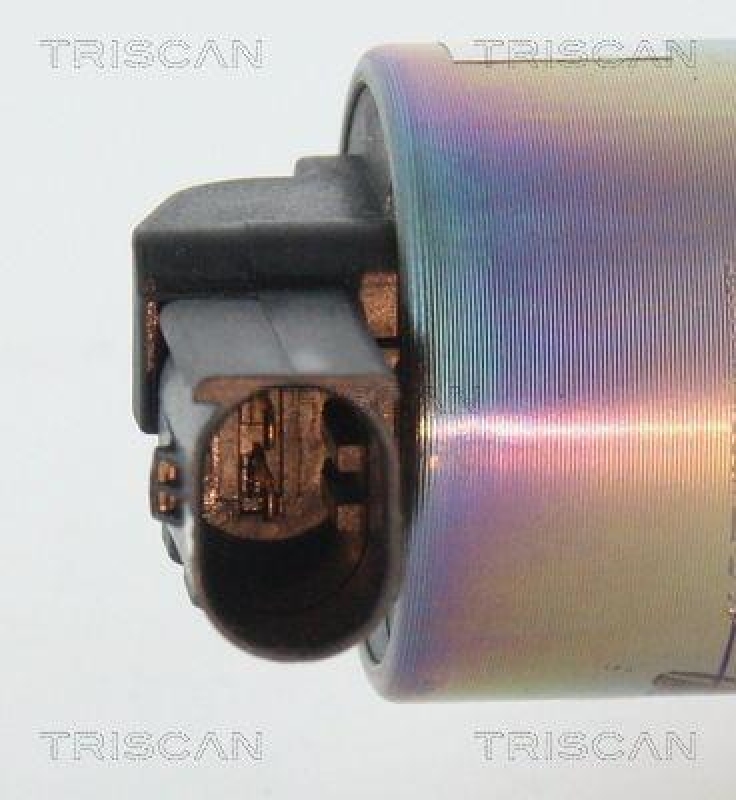 TRISCAN 8813 43021 Agr Ventil für Hyundai/Kia