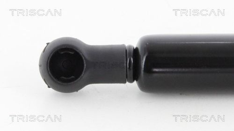 TRISCAN 8710 38233 Gasfeder Hinten für Citroen C3