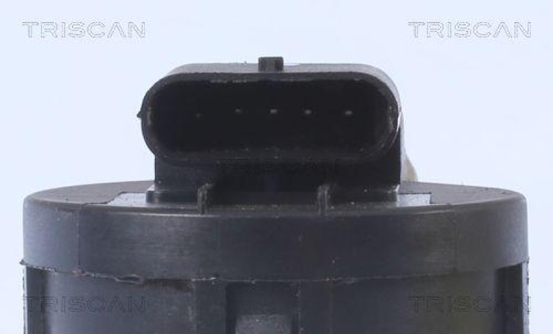 TRISCAN 8813 11001 Agr Ventil für Bmw