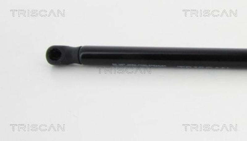 TRISCAN 8710 38234 Gasfeder Hinten für Citroen C4