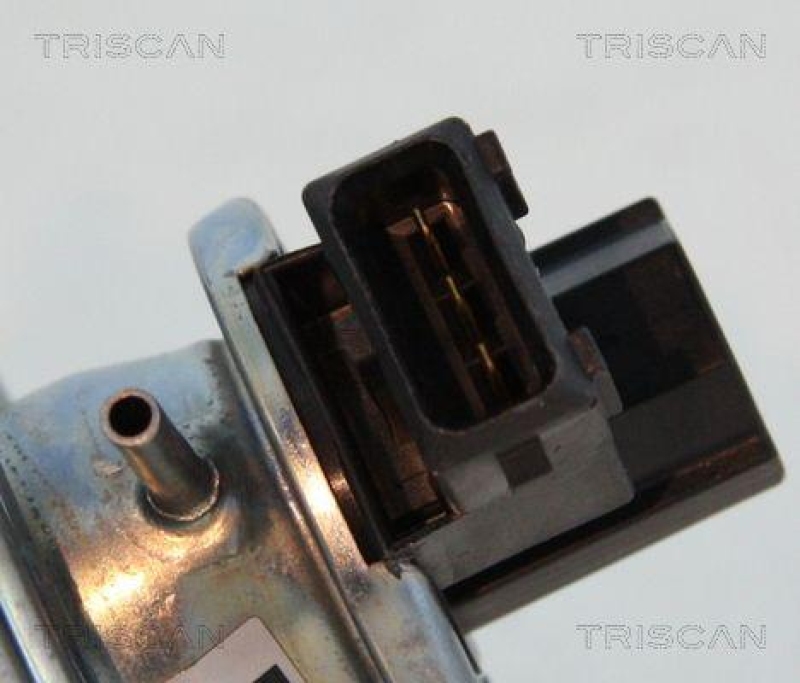 TRISCAN 8813 11002 Agr Ventil für Bmw