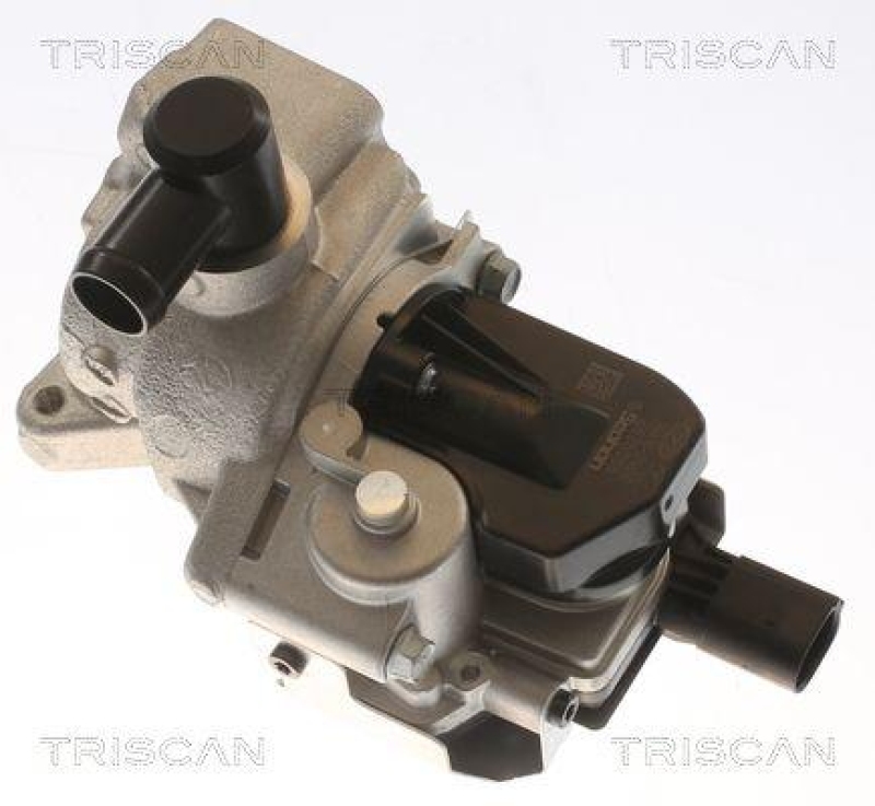 TRISCAN 8813 43054 Agr Ventil für Hyundai I20 D, Kia Rio D