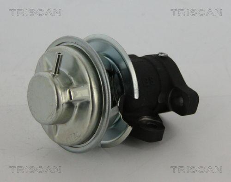 TRISCAN 8813 43201 Agr Ventil für Hyundai