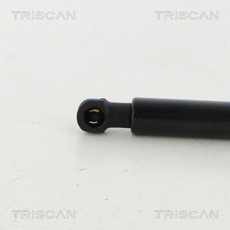 TRISCAN 8710 38248 Gasfeder Hinten für Citroen C4 Cactus