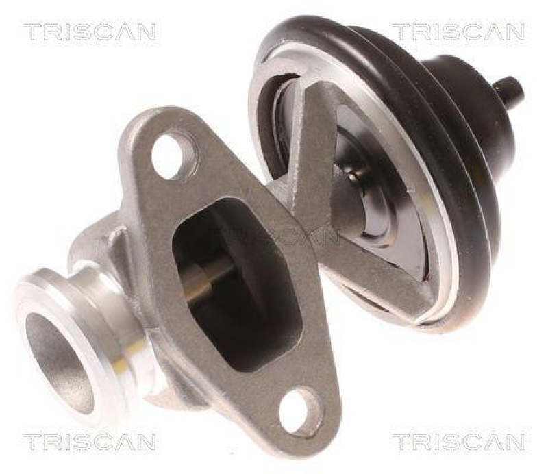 TRISCAN 8813 44015 Agr Ventil für Ssangyong