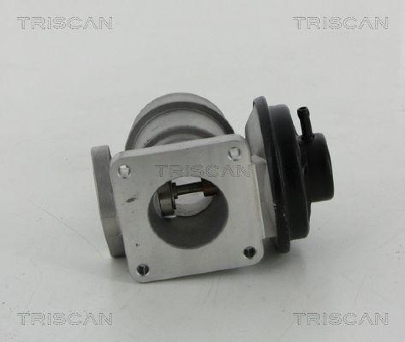 TRISCAN 8813 44030 Agr Ventil für Ssangyong