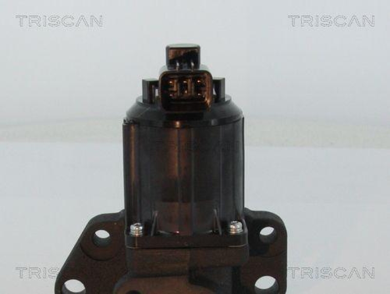 TRISCAN 8813 50007 Agr Ventil für Mazda