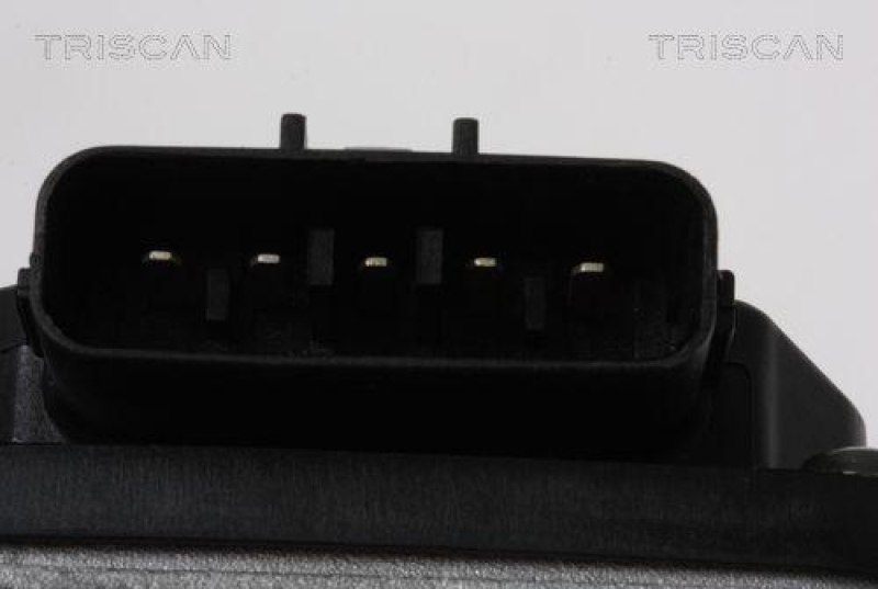 TRISCAN 8813 14100 Agr Ventil für Nissan