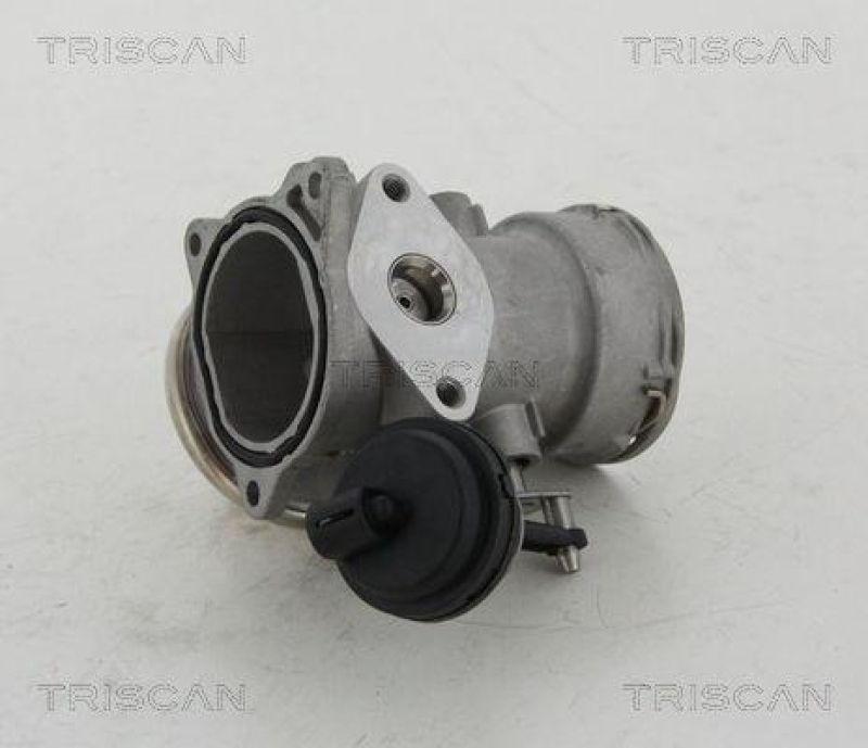 TRISCAN 8813 16023 Agr Ventil für Ford/Vag