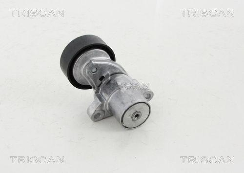 TRISCAN 8641 163023 Spannrolle für Ford