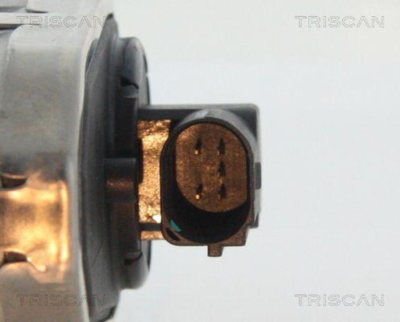 TRISCAN 8813 16100 Agr Ventil für Ford